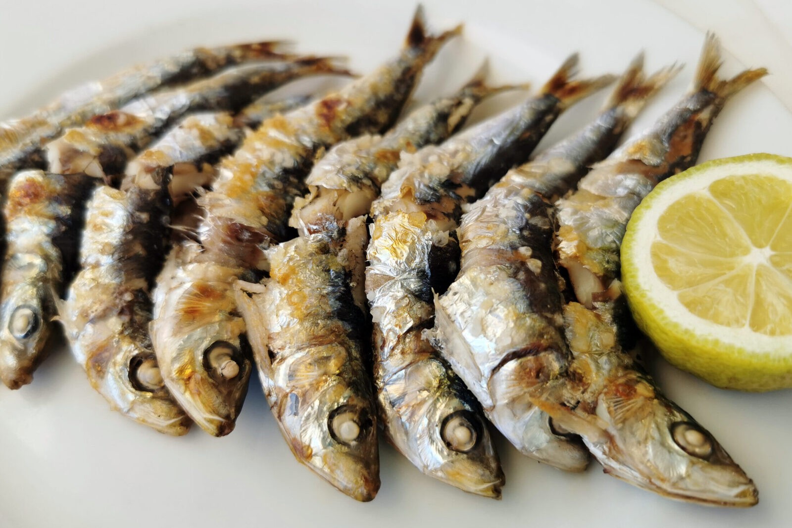 Sarde